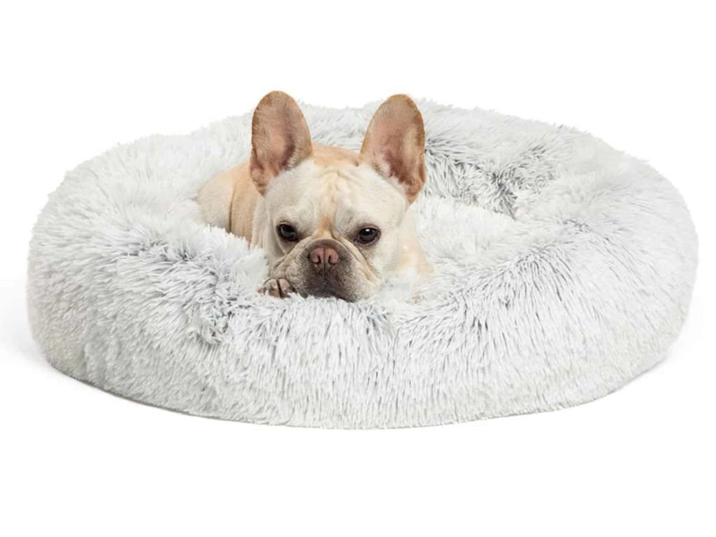 Best Friends by Sheri The Original Calming Donut Cat and Dog Bed in Shag or Lux Fur, Machine Washable, High Bolster, Multiple Sizes S-XL