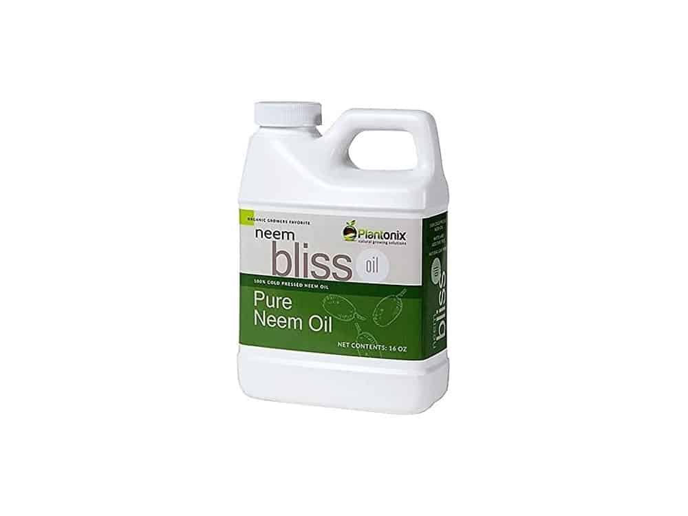 Organic Neem Bliss 100% Pure Cold Pressed Neem Seed Oil - (16 oz) High Azadirachtin Content - OMRI Listed for Organic Use