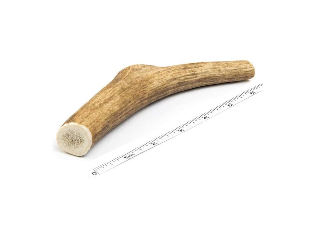 Devil Dog Pet Co Antler Dog Chew - Premium Elk Antlers for Dogs - Long Lasting Dog Bones for Aggressive Chewers - No Mess No Odor - Wild Shed in The USA - Veteran Owned (Large)