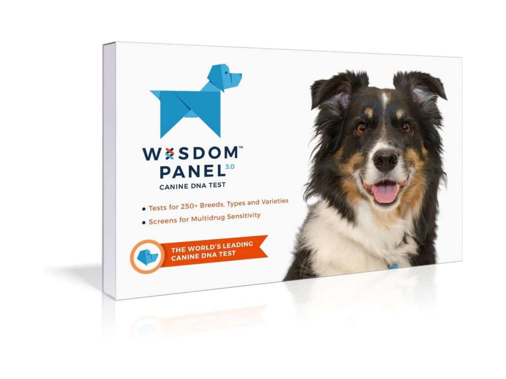 Mars Veterinary Wisdom Panel Dog DNA Test Kit - Canine Breed Identification and Ancestry Information