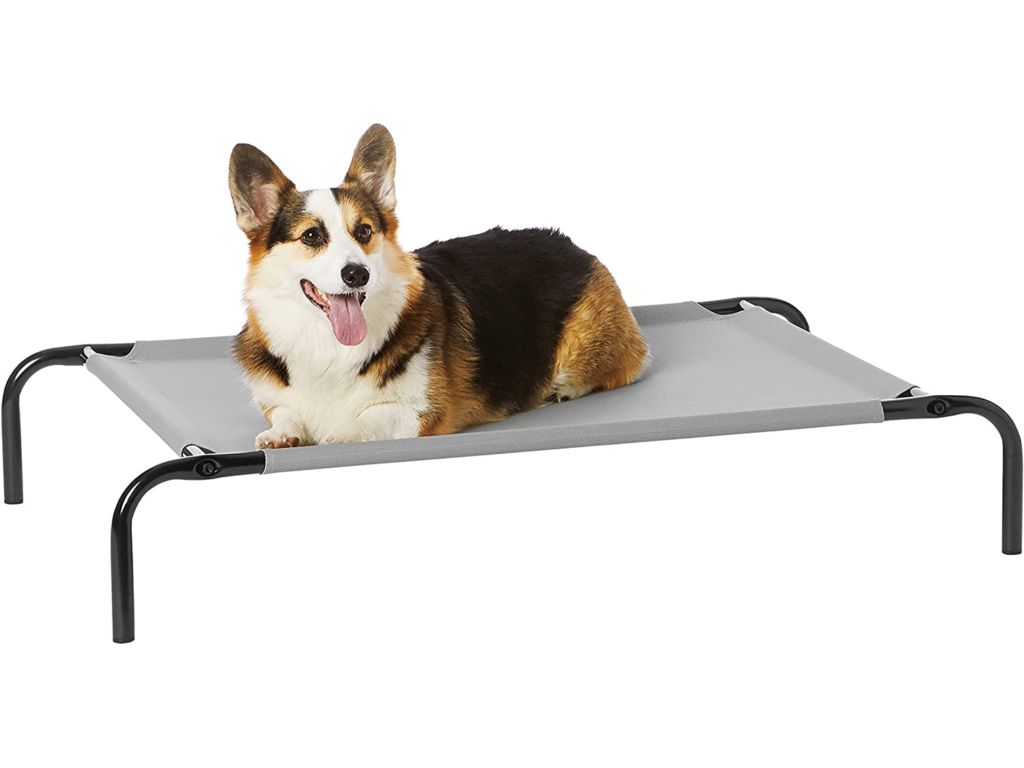 Amazon Basics Cooling Elevated Pet Bed