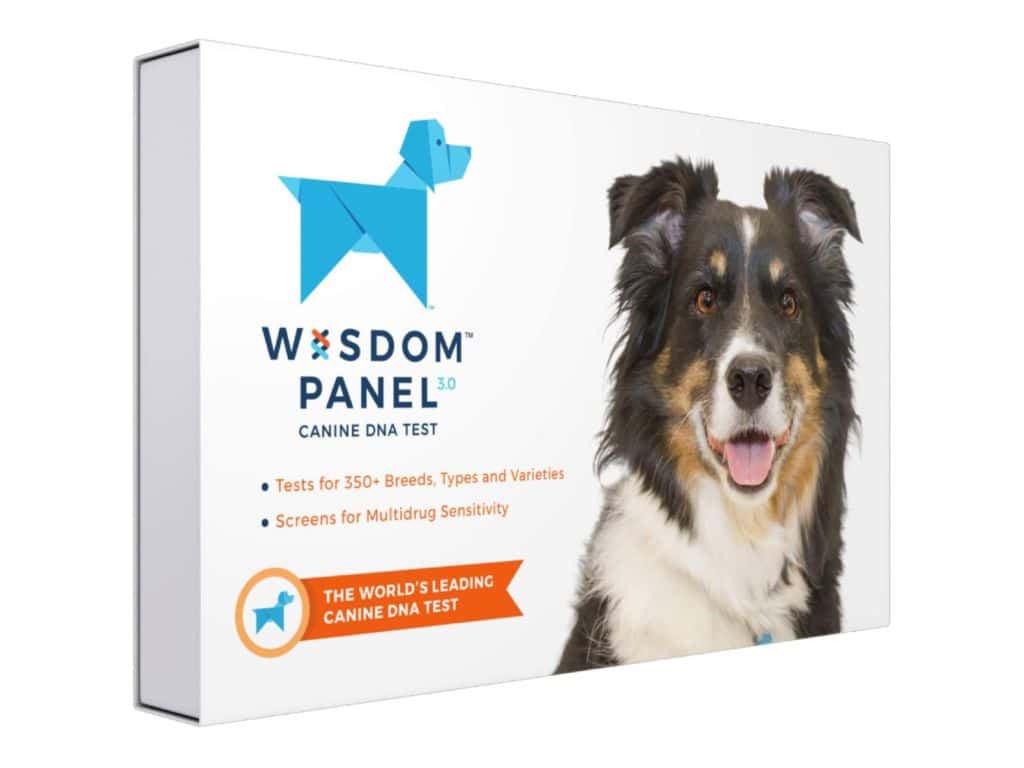 Wisdom Panel 3.0 Canine DNA Test - Dog DNA Test Kit for Breed and Ancestry Information