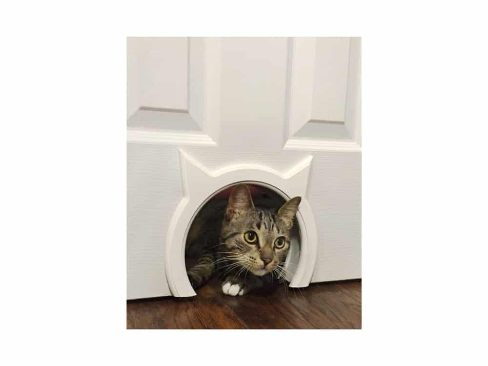 The Kitty Pass Interior Cat Door Hidden Litter Box Pet Door for Cats up to 21 lbs Pet Box