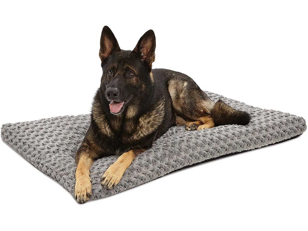 MidWest Homes for Pets Plush Dog Bed | Coco Chic Dog Bed & Cat Bed