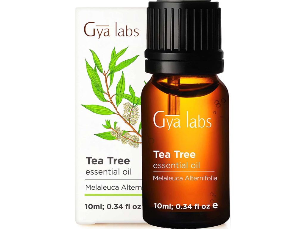 Gya Labs Tea Tree Essential Oil for Skin Care and Hair Care - Topical for Oily Skin, Dry Scalp, Healthy Nails - Diffuse to Purify Air -100 Pure Therapeutic Grade Tea Tree Oil for Hair - 10ml