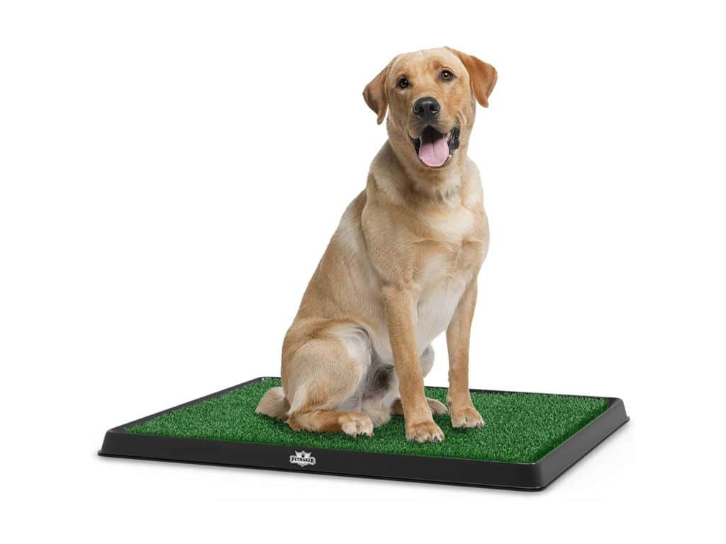 Artificial Grass Puppy Pad for Dogs and Small Pets – Portable Training Pad with Tray – Dog Housebreaking Supplies by PETMAKER