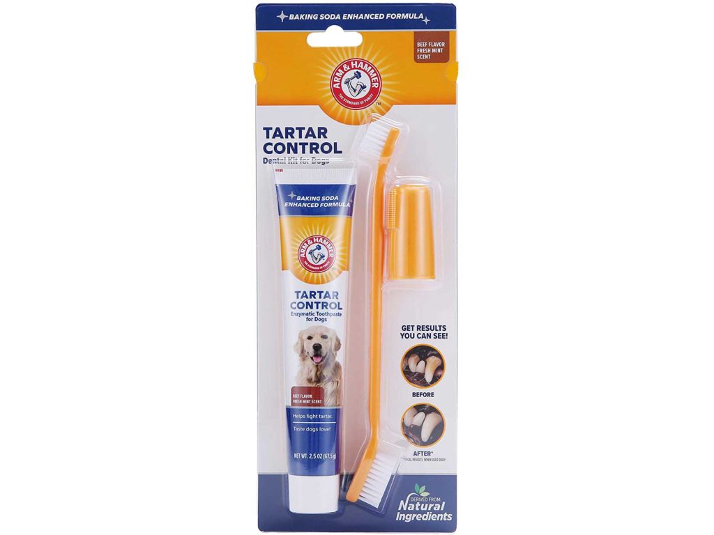 Arm & Hammer for Pets Dog Dental Care Fresh Breath Kit for Dogs
