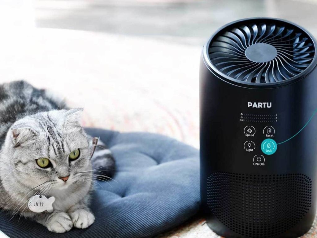 Cat sitting next to air purifier
