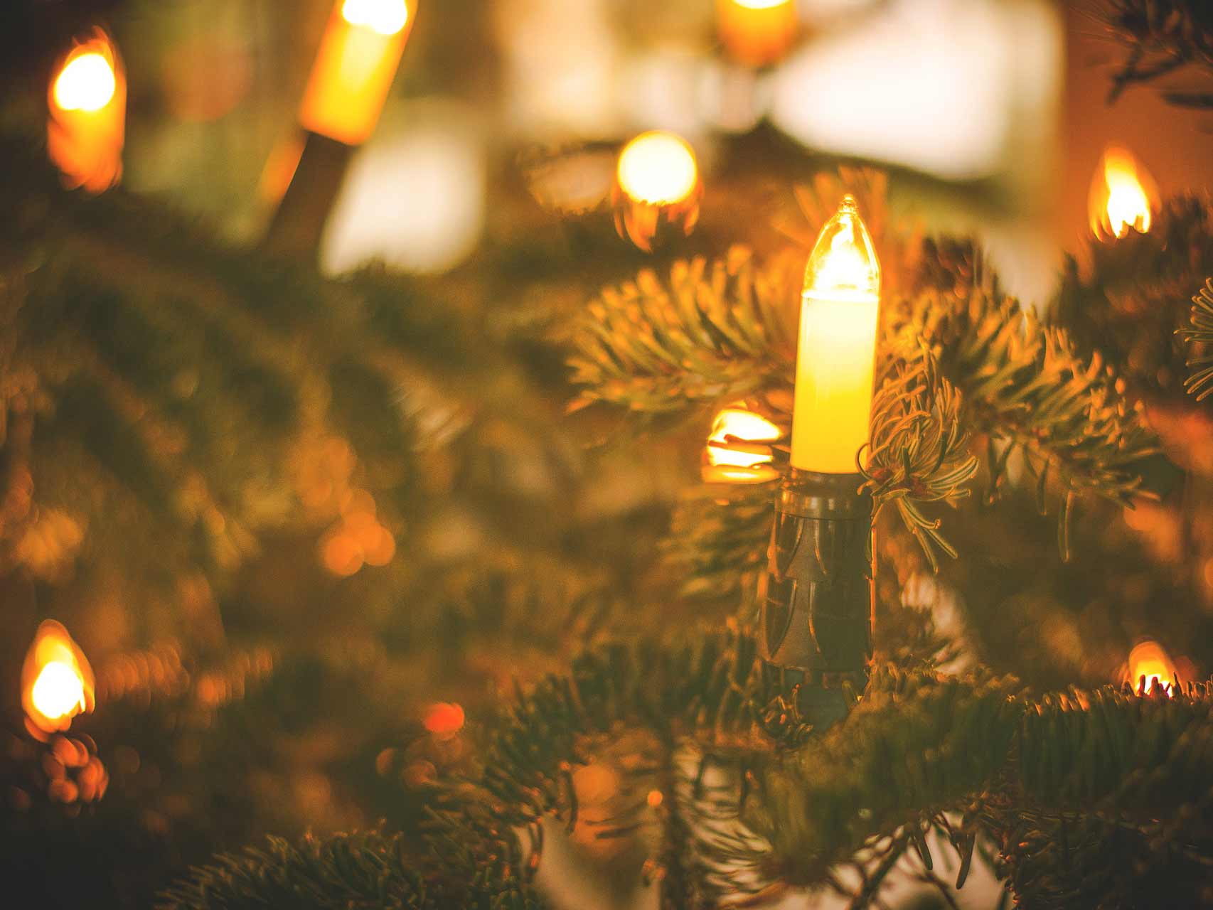 Alachua Christmas Tree Lighting, Santa Visit, and Parade Florida
