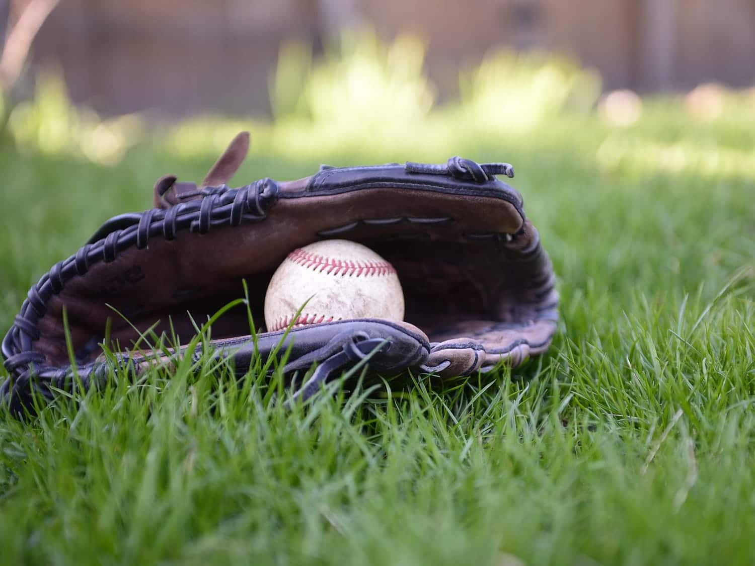 Baseball in a glove on the grass