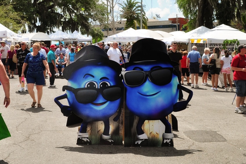 Florida Blueberry Festival
