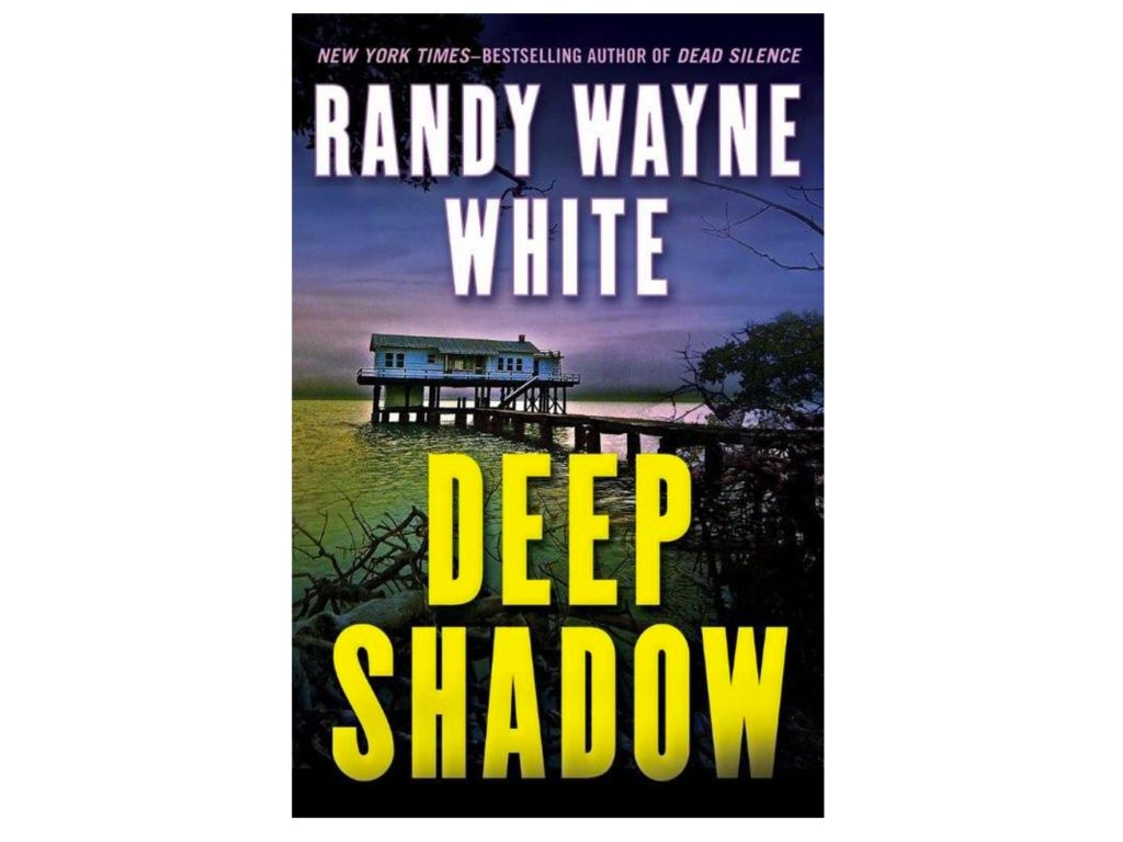 deep shadow book, mystery books, florida books, beach books