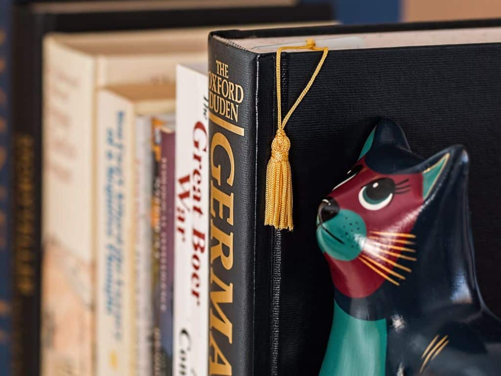 A cat bookend holds up books