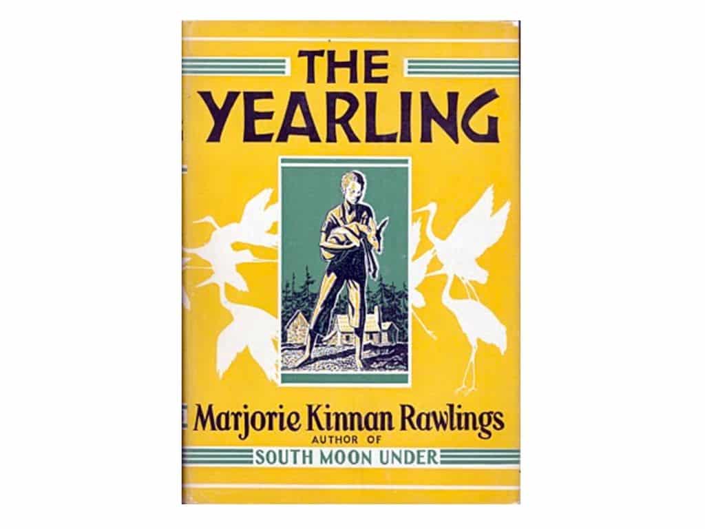 the yearling, classic books, florida books, beach reads