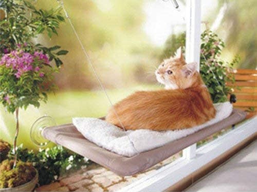 window cat bed