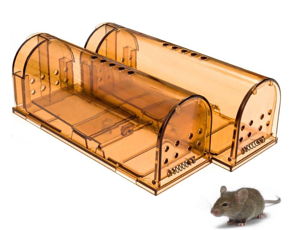 CaptSure Original Humane Mouse Traps, Easy to Set, Kids/Pets Safe, Reusable for Indoor/Outdoor use, for Small Rodent/Voles/Hamsters/Moles Catcher That Works. 2 Pack (Small)