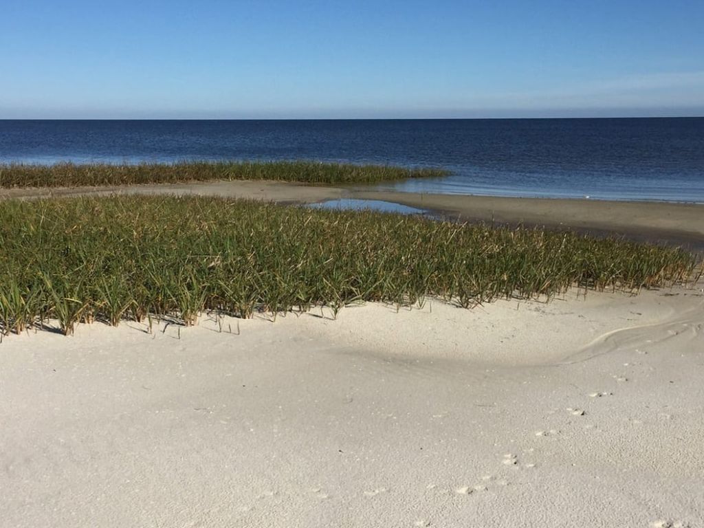 cedar key florida