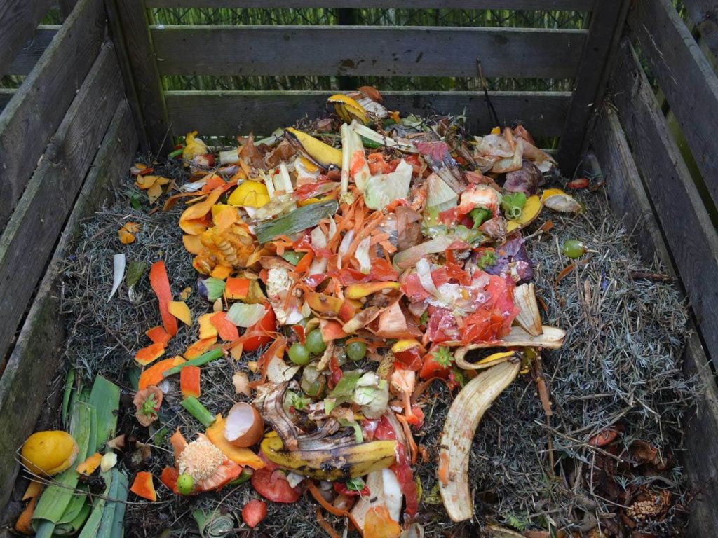 Kitchen waste in a pile