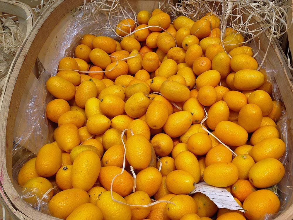 kumquats, kumquat history, kumquat citrus fruit, florida citrus kumquat