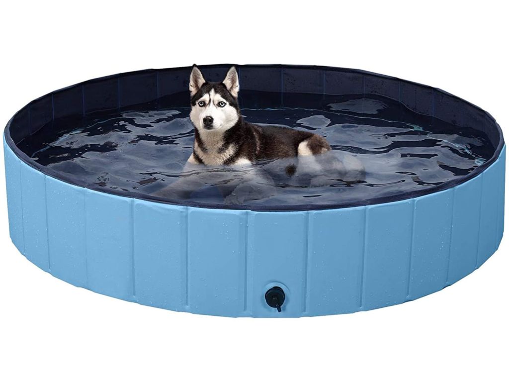 YAHEETECH Foldable Hard Plastic Extra Large Dog Pet Bath Swimming Pool Collapsible Dog Pet Pools Bathing Tub Paddling Pool for Large Pets Dogs Cats, Black/Blue/Gray/Red, XXL/XL/L/M Visit the YAHEETECH Store