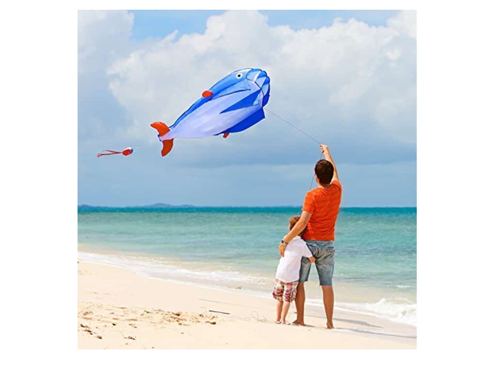 dolphin kite, fun kites, beach kites, florida kites