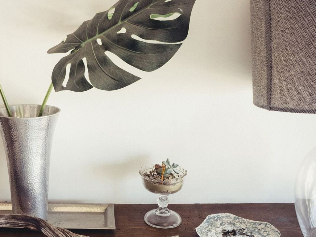 Plants and other items sit on a console table.