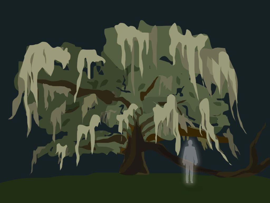 florida oak tree, haunting oak tree
