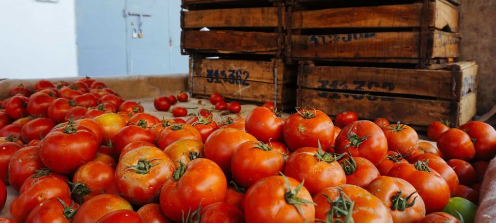 florida farmers market