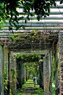 free_florida_others_gardens_072511.jpg