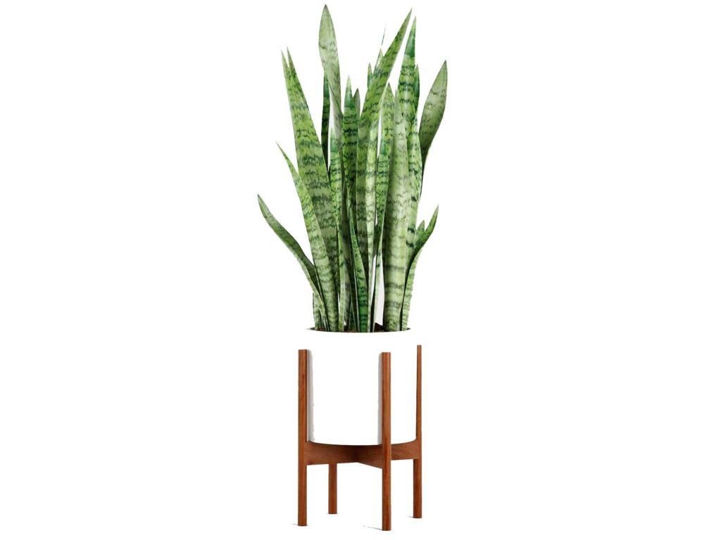 Fox & Fern Modern Plant Stand with 10" Pot - Including White Planter Pot - Drainage Plug - Acacia Wood