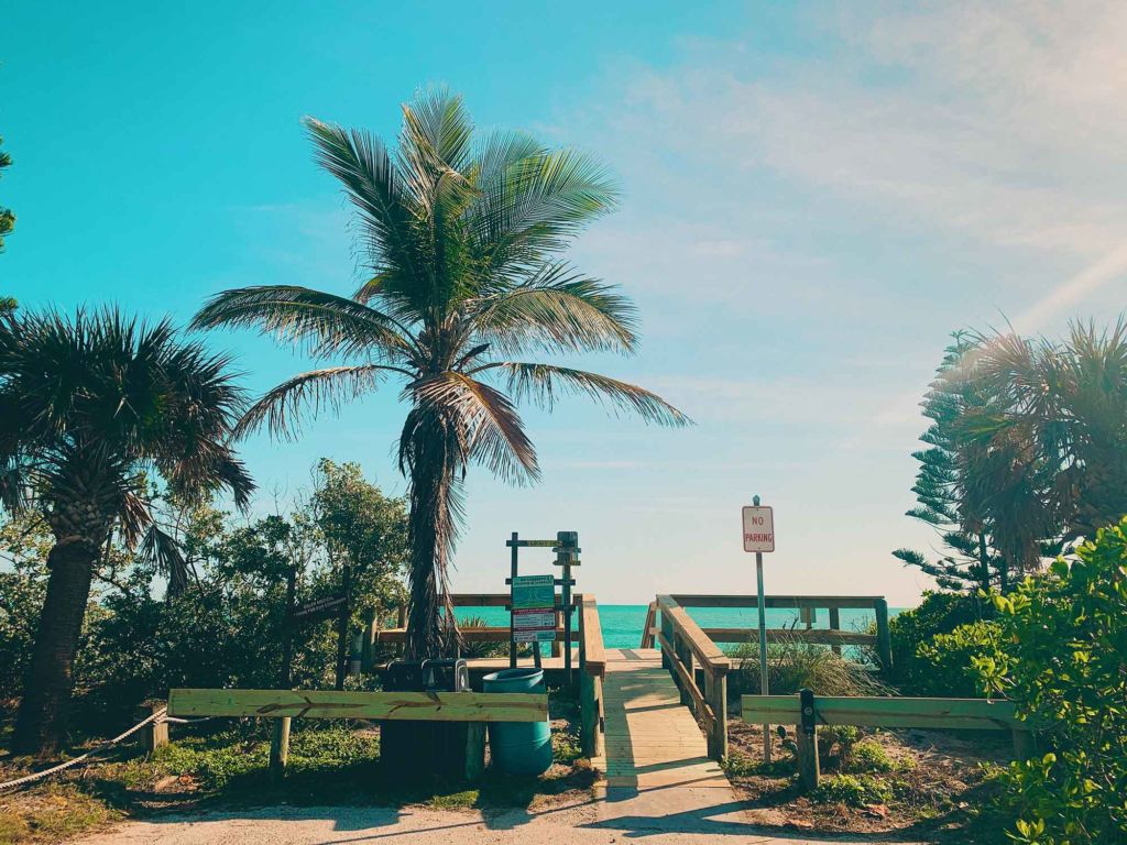 Florida beachwalk with palm tree