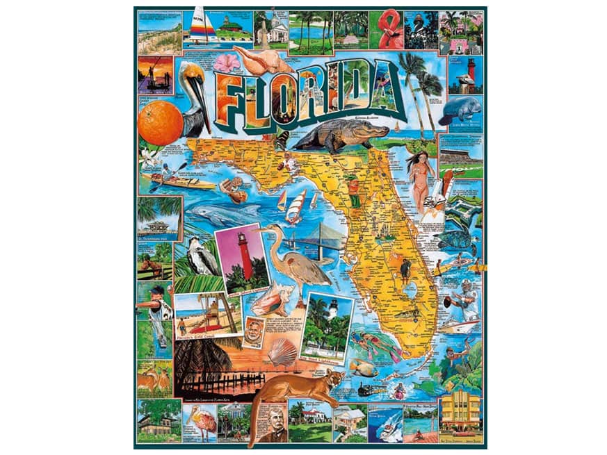 florida puzzle