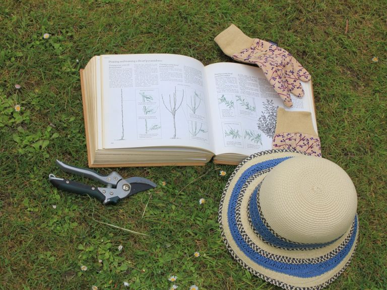Gardening gloves with clippers and a hat in a garden.