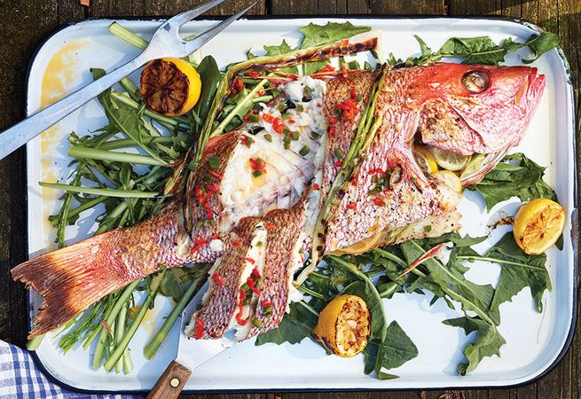 snapper recipe, summer cooking, grilled florida snapper