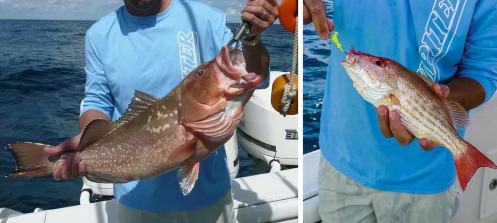 line caught florida grouper