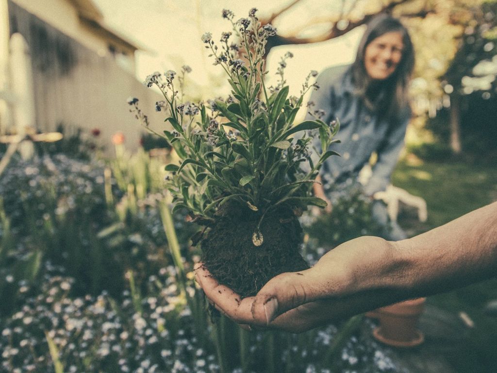 Gardening outdoors