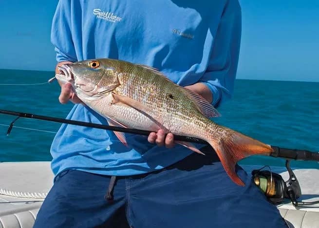 fisherman holding grouper