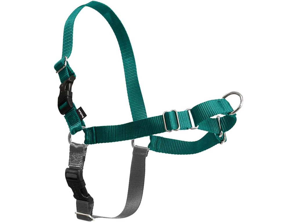 PetSafe Easy Walk Dog Harness, No Pull Dog Harness – Perfect for Leash & Harness Training – Stops Pets from Pulling and Choking on Walks – Works with Small, Medium and Large Dogs