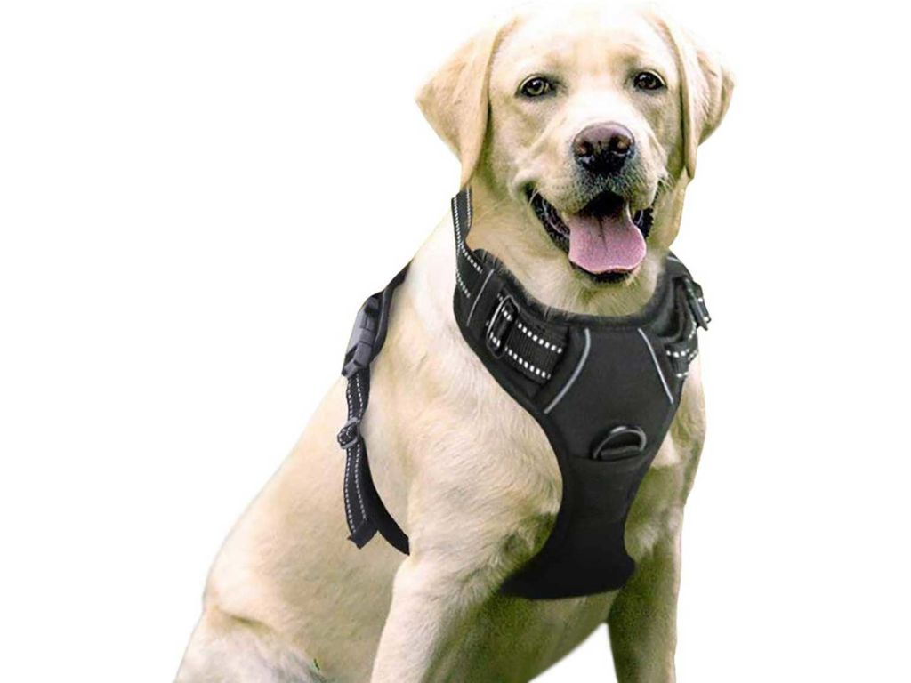 rabbitgoo Dog Harness, No-Pull Pet Harness with 2 Leash Clips, Adjustable Soft Padded Dog Vest, Reflective No-Choke Pet Oxford Vest with Easy Control Handle for Large Dogs, Black, L, Chest 20.5-36"