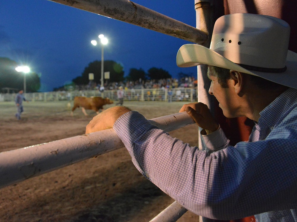 rodeo, cowboy