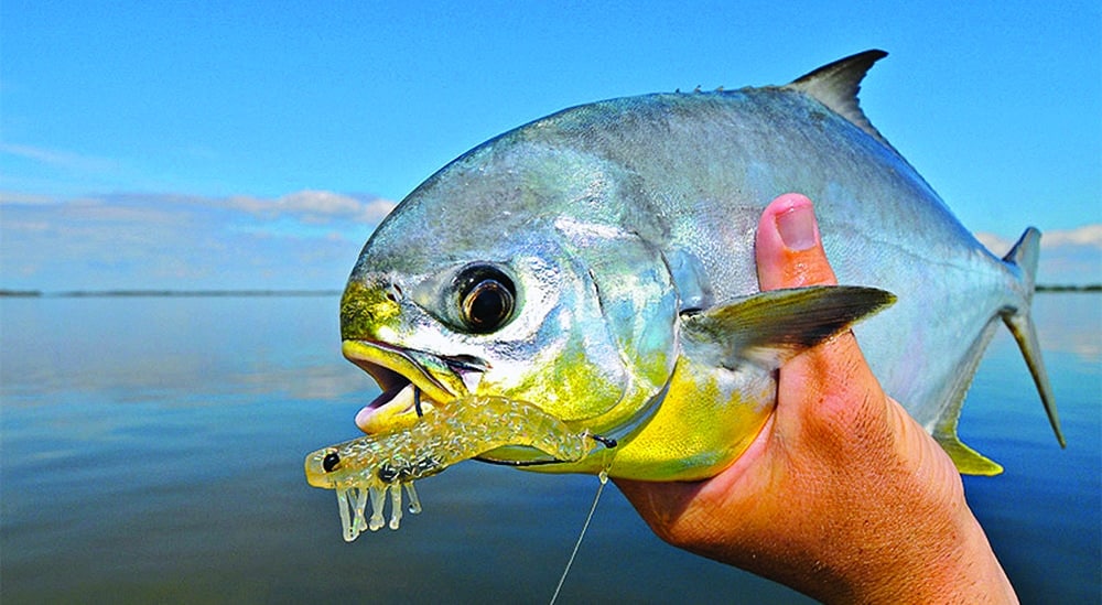 catching pompano, florida fishing tactics