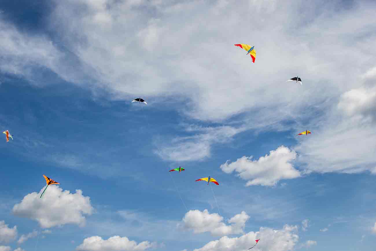 New Smyrna Beach Kite Festival Florida Travel + Life