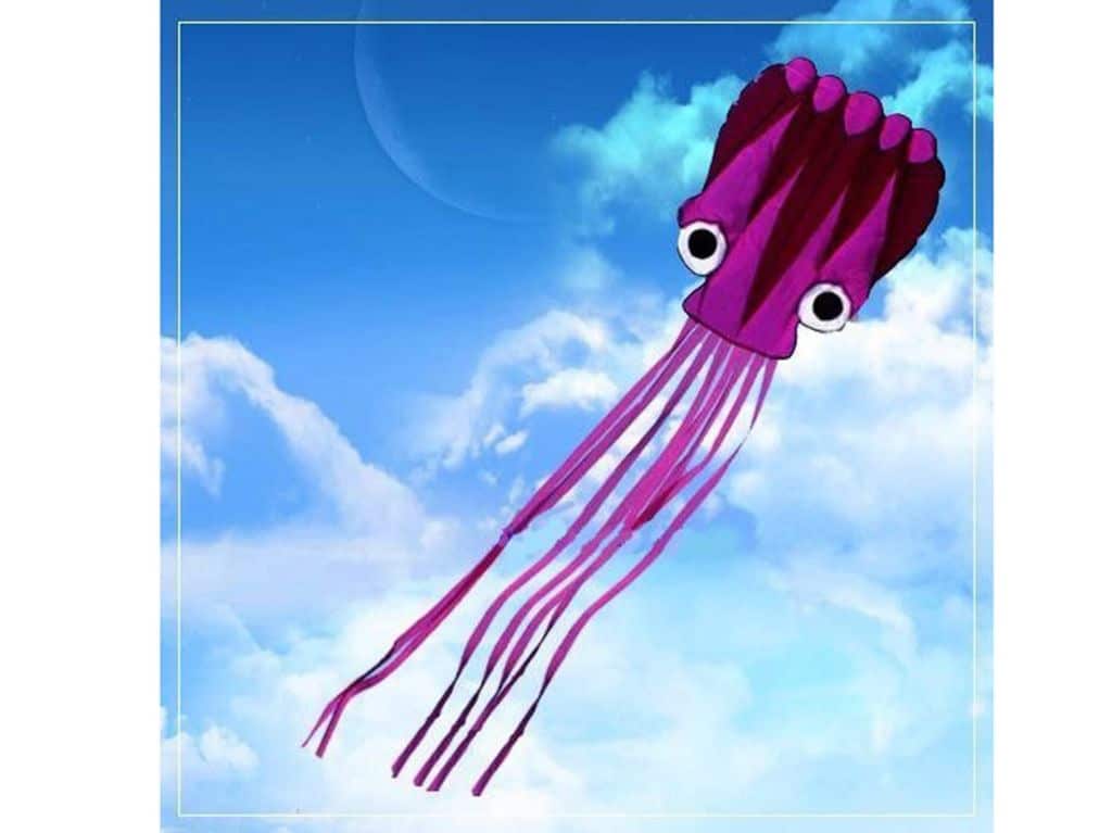 5M Large Octopus Parafoil Kite with Handle & String by Amazona's presentz