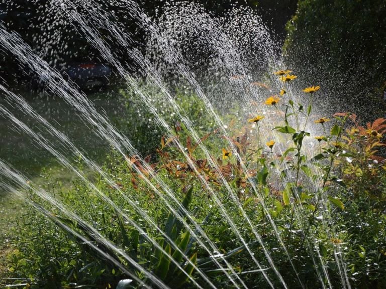 Sprinkler watering a yard.