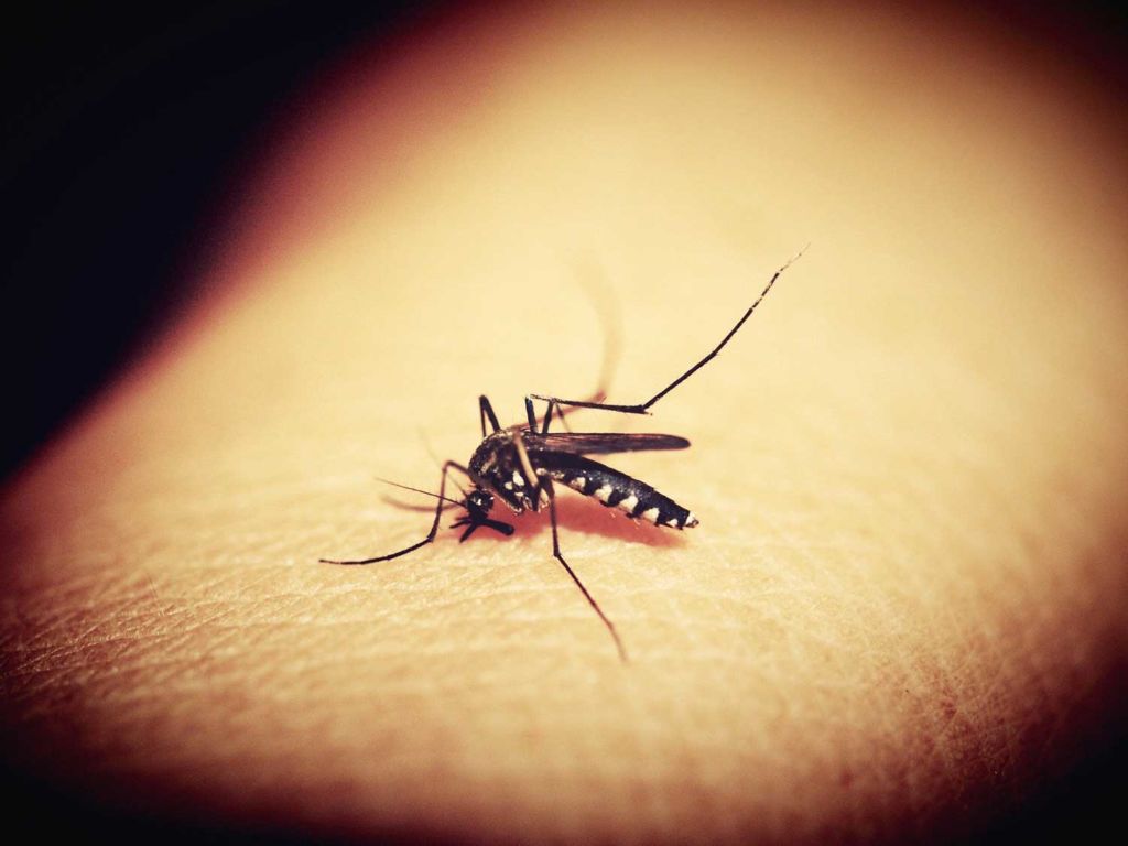 mosquitoespray-hero-pixabay-ftl