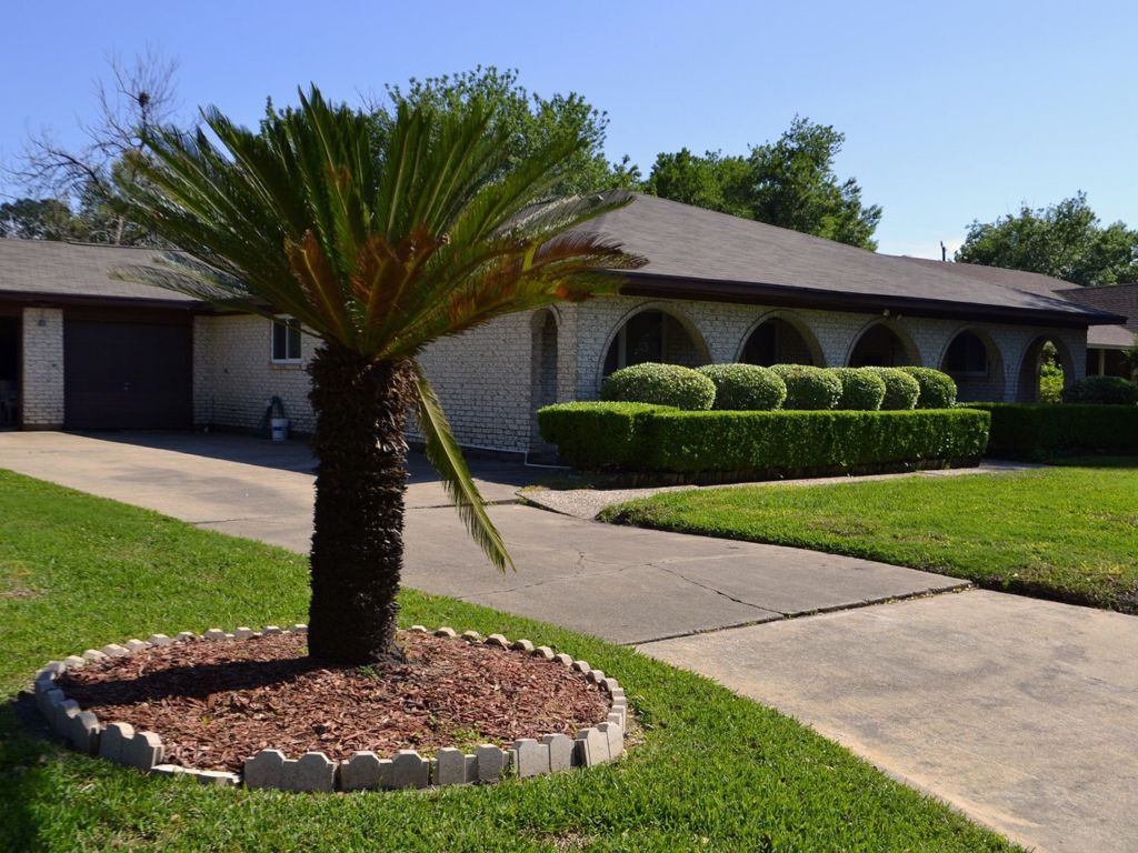 Front yard with mulch