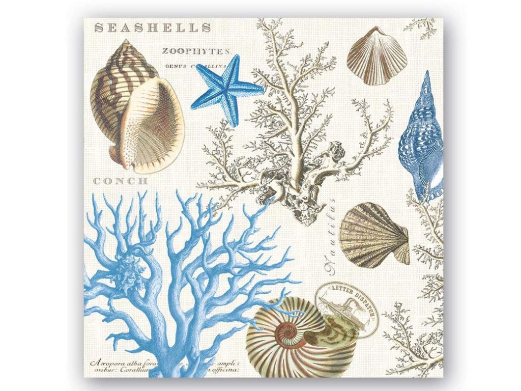 Michel Design Works 20-Count 3-Ply Paper Luncheon Napkins, Seashore by Michel Design Works