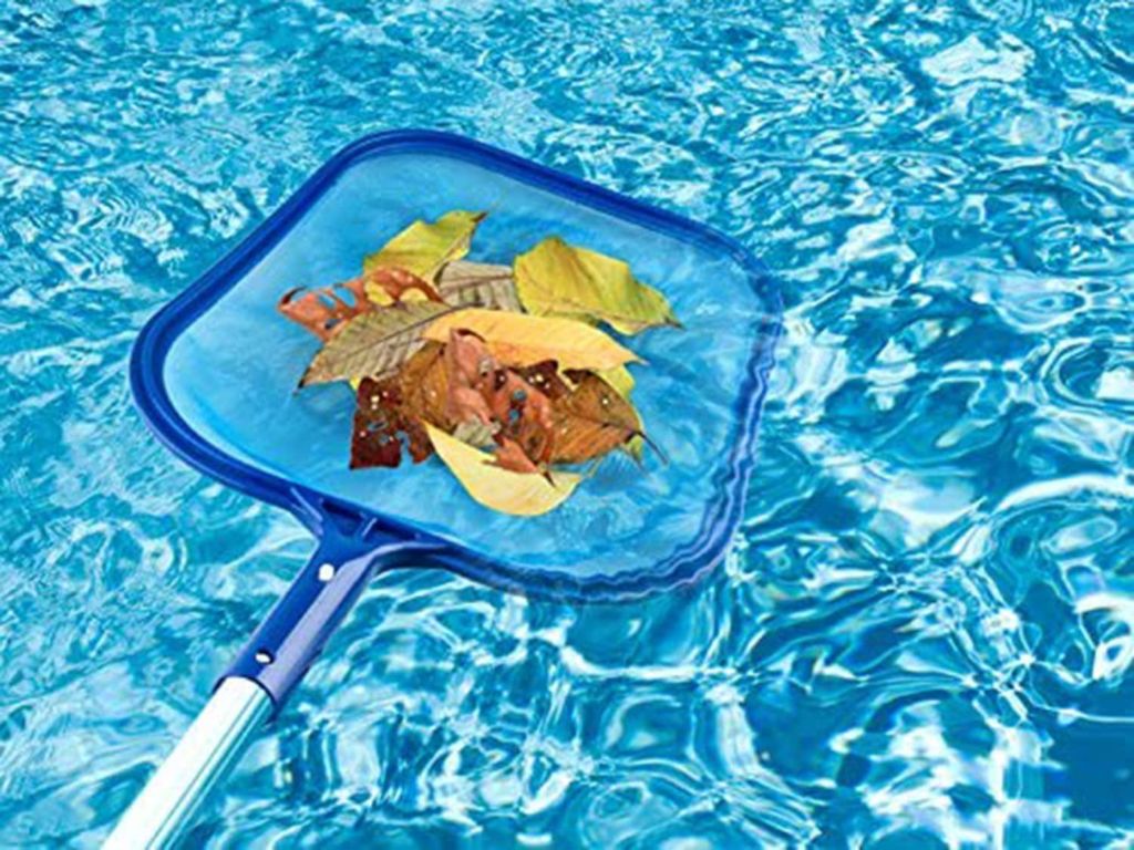 Tree leafs in a pool net