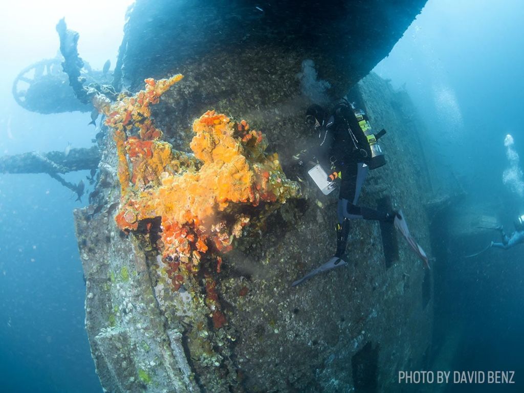 Oriskany shipwreck