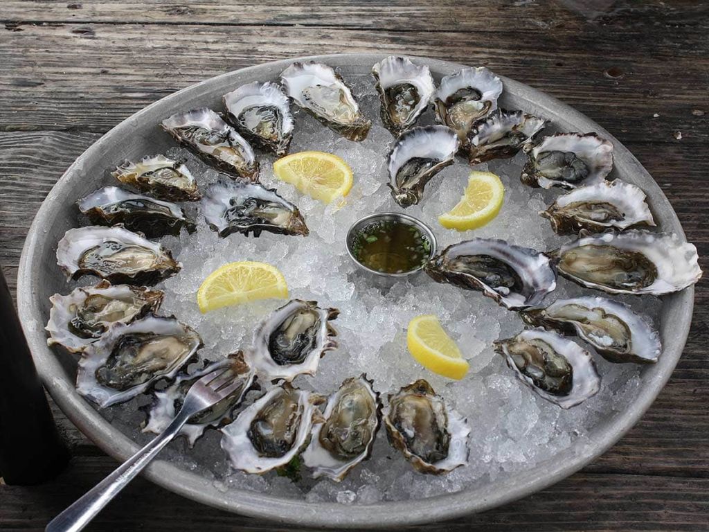 oysters